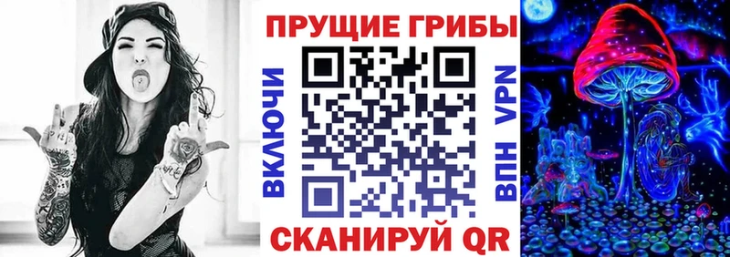 Галлюциногенные грибы Psilocybine cubensis  закладка  Межгорье 